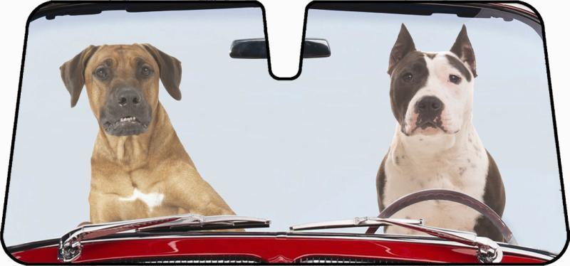 2 Dogs Design Premium Car Sunshade